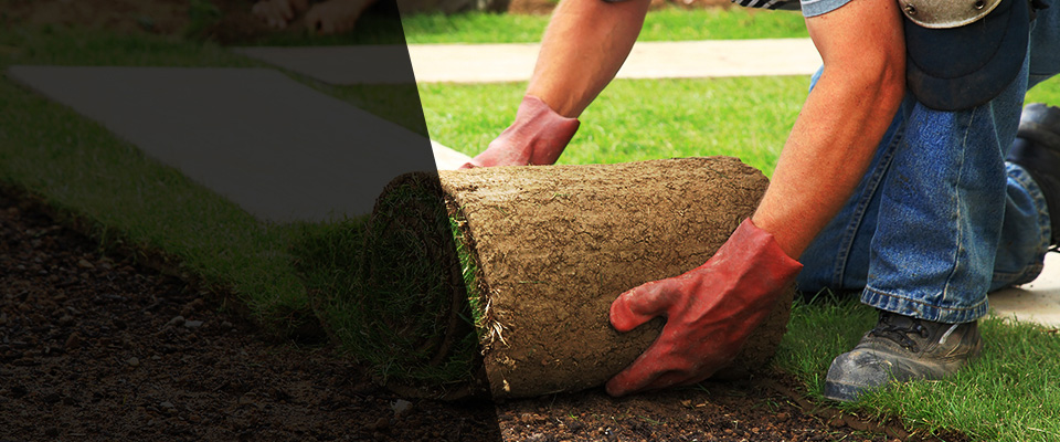 Southeastern Landscapers